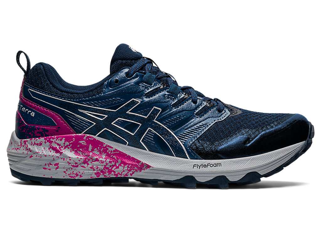 Dámské Trailové Běžecké Boty Asics Gel-Trabuco Terra Blankyt Stříbrné | 5809-TZCPA