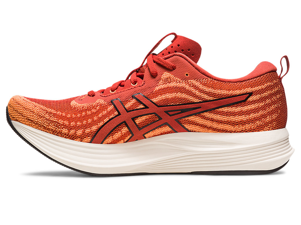 Pánské Running Shoes Asics Evoride Speed Hnědé Černé | 9136-XNZUG