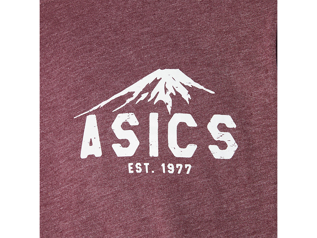 Pánské Tričko Asics Fuji 1977 Tee Vínové Červené | 8437-AJZPI