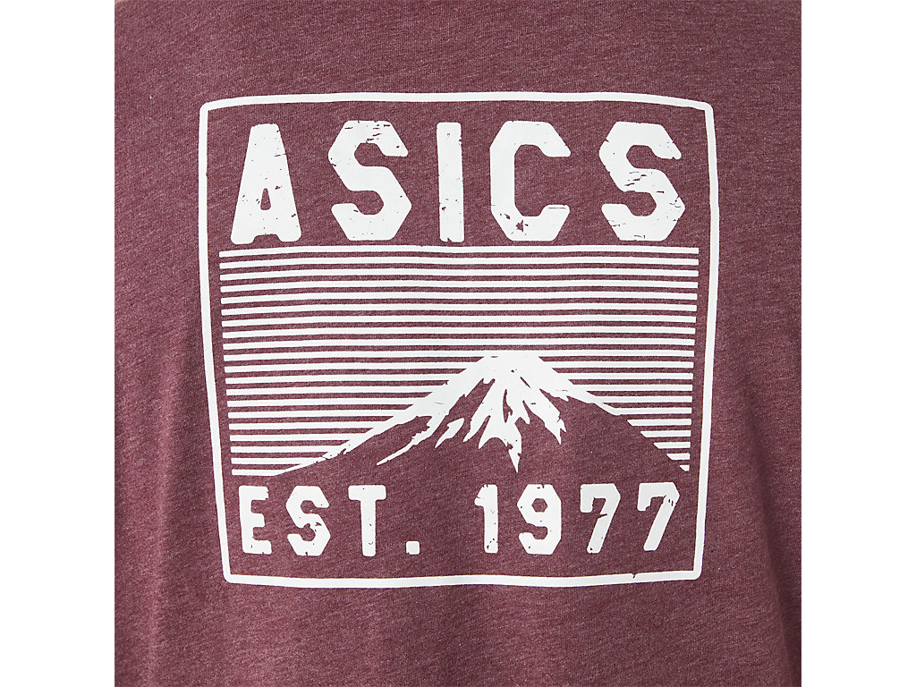 Pánské Tričko Asics Fuji 1977 Tee Vínové Červené | 8437-AJZPI