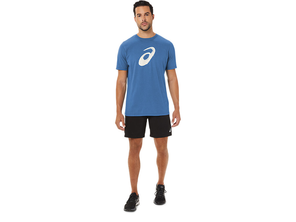 Pánské Tričko Asics Paintbrush Sleeve Tee Blankyt | 2614-UMATO